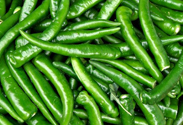 Green Chilly