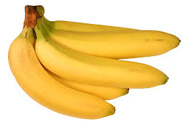 Banana Cavendish