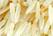 Basmati Rice