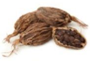 Black Cardamom