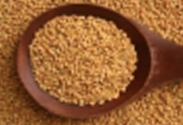 Fenugreek