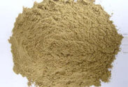  Cumin Seed